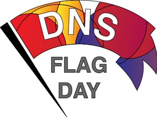 파일:DNS flag day logo.svg
